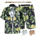 メンズ アロハシャツ セットアップ 夏 半袖 柄シャツ 半袖シャツ ショートパンツ 上下セット 総柄シャツ 花柄 ボタニカル柄 トロピカル柄 総柄 開