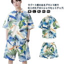 カジュアルシャツ アロハシャツ セットアップ メンズ 夏 柄シャツ 総柄シャツ ショートパンツ 上下セット ボタニカル柄 トロピカル柄 総柄 半袖シャ