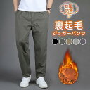 カーゴパンツ メンズ ワークパンツ 裏起毛 ゆったり カジュアル 大きいサイズ 防風 防寒 あったか 裏ボア 無地 厚手 通勤 上品 作業着 真冬