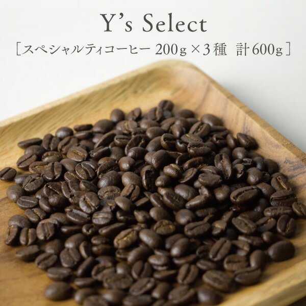 ワイズセレクト 200g×3種 計600g ワイズカフェのスペシャルティコーヒー豆 全12種類の中から自由に選べる 深煎りの自家焙煎コーヒー豆セット