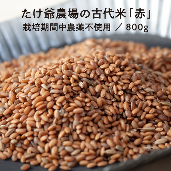 たけ爺農場の古代米「赤」 800g 栽培期間中農薬不使用 国産 国内産 自然食品 メール便 送料無料