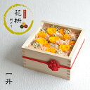 【花枡】 枡プリ 一升 黄金(こがね)