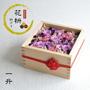 【花枡】 枡プリ 一升 京紫(きょうむらさき)