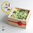 【花枡】 枡プリ 一升 萌黄(もえぎ)