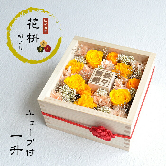 【花枡】 枡プリ 一升 キューブ付　黄金（こがね）