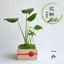 商品画像2