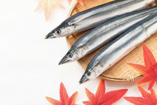 【訳あり】美味！旬の冷凍さんまパック 600g×2 大容量パック 海鮮 海の幸 ギフト 逸品オススメ 酒の肴 お取り寄せ グルメ 魚 おつまみ つまみ 晩酌 おいしい ギフト