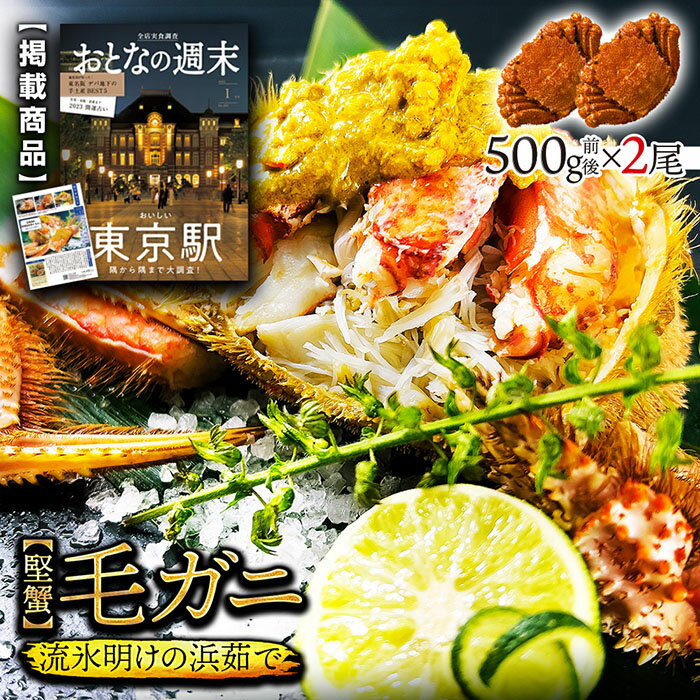 毛ガニ 北海道産 浜茹で毛蟹 約500g×2尾【本州・四国エリア送料無料】オホーツク海の流氷明けで水揚げされた堅蟹を獲れたて新鮮なままボイルしてます！ 毛ガニはお取り寄せギフトや贈り物に最適 各種熨斗(のし)対応 誕生日・結婚祝い ・内祝い・無地・など選ばれています。