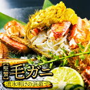 期間限定1尾より断然お得!13,960円→今なら7,980円(5,980円引き)北海道産 浜茹で毛蟹 約500g×2尾【本州・四国エリア送料無料】オホーツク海の...