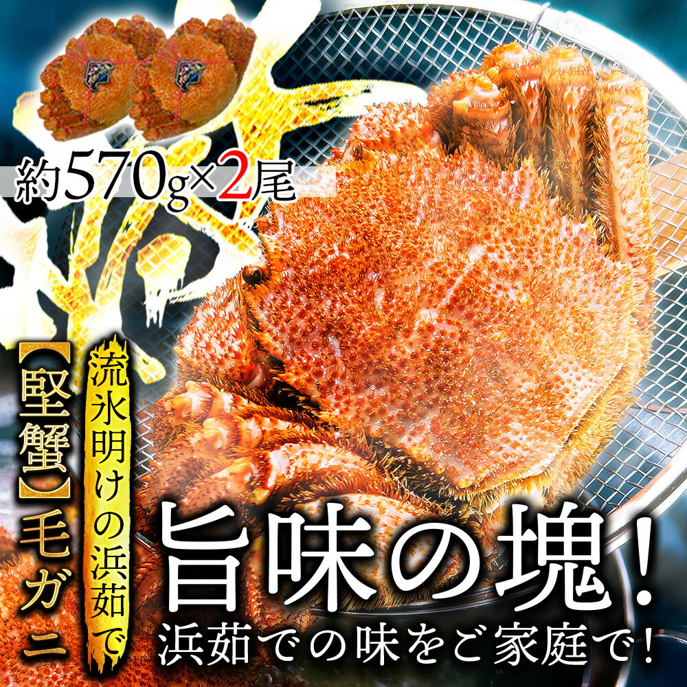 ■ 父の日　早割り 30%OFF(23日～)■ 北海道産 浜茹で毛蟹 約570g×2尾【本州・四国エリア送料無料】オホーツク海の流氷明けで水揚げされた堅蟹を新鮮なままボイルしてます！ 毛ガニはお取り寄せギフトや贈り物に最適 各種熨斗(のし)対応 誕生日・内祝いなど