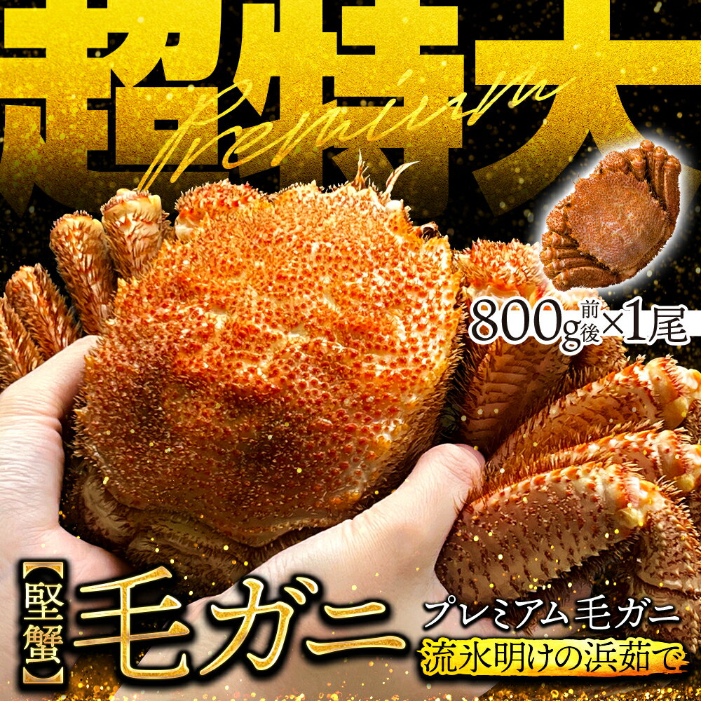 毛ガニ ■ 父の日　早割り 20%OFF(23日～)■ 北海道産 浜茹で毛蟹 特大サイズ約800g×1尾【本州・四国エリア送料無料】オホーツク海の流氷明けで水揚げされた堅蟹を新鮮なままボイルしてます！ 毛ガニはお取り寄せギフトや贈り物に最適 各種熨斗(のし)対応 誕生日・内祝いなど