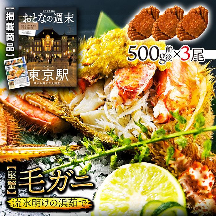 北海道産 浜茹で毛蟹 約500g×3尾【本州・四国エリア送料無料】オホーツク海の流氷明けで水揚げされ ...