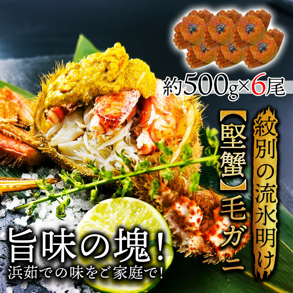 北海道産 浜茹で毛蟹 約500g×6尾【本州・四国エリア送料無料】オホーツク海の流氷明けで水揚げされた堅蟹を獲れたて新鮮なまま浜茹でに！ ギフトや贈り物に最適 各種熨斗(のし)対応 誕生日や結婚祝い 還暦祝いなどに使われています