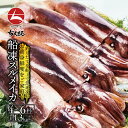 青森産 八戸漁港水揚げ 絶品船凍スルメイカ 約1.3kg(4...