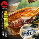 国産 無添加 大王さばみりん干し 特々大サイズ 2枚セット【送料無料】大きいビックリサイズ ご家族や複数人で[限定 国産 希少 贈り物 贈答用 ギフト グルメ ...