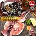 国産 真いか一夜干し 特大サイズ(1枚約200～250g) ×3枚【本州 四国エリア送料無料】滅菌海水処理で最高鮮度と甘みを追及 素材はイカと塩のみ 無添加 無化調 おうちごはん グルメ プチ贅沢 晩酌 ごほうび 海鮮 するめいか スルメイカ イカ 烏賊 海の幸 いかの一夜干し