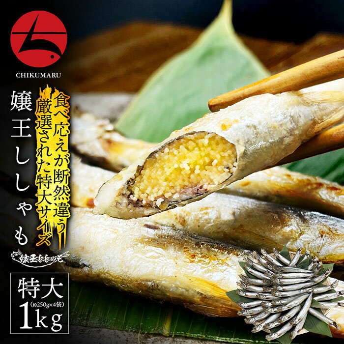 嬢王ししゃも®(子持ちカラフトししゃも) 特大サイズ厳選 250g入×4袋 計1kg【本州・四国エリア送料無料..