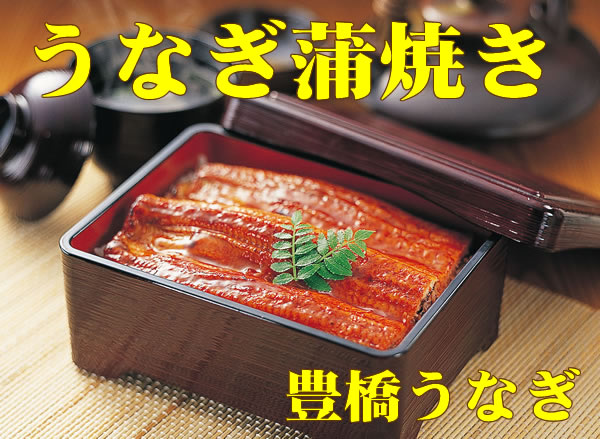 うなぎ蒲焼き 1尾　ギフトセット【たれ付】 (ギフト プレゼント ランキング 人気 誕生日 内祝い お礼 お祝い お返し goto ご当地 ウナギ 鰻 国産 国内産 グルメ 夏ギフト 食べ物 土用の丑の日 土用丑の日 夏目商店 豊橋うなぎ)のサムネイル