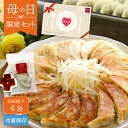 【最大500円OFFクーポン配布中】【公式】知久屋「母の日・浜松餃子セット」20個入×4袋 タレ4袋×4 冷凍 | ちくや 冷凍餃子 ご当地 グルメ 惣菜 おか...