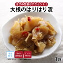 【公式】知久屋「大根のはりはり漬」90g 冷蔵 | ちくや 惣菜 お弁当 漬け物 福神漬け 無添加 ギフト 新生活 父の日 母の日 手作り 和食 常備菜 一人暮...
