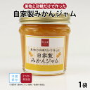 【公式】知久屋「自家製みかんジャム」120g 冷蔵 | ちくや 無添加 ギフト 新生活 父の日 母の日 手作り 静岡県産 砂糖と果物だけで作った 甘さ控えめ フ...
