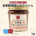 【公式】知久屋「自家製国産いちごジャム」120g 冷凍 | ちくや 無添加 ギフト 新生活 父の日 母の日 手作り 苺 砂糖と果物だけで作ったジャム 甘さ控えめ...