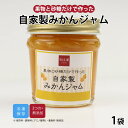 【公式】知久屋「自家製みかんジャム」120g 冷凍 | ちくや 無添加 ギフト 新生活 父の日 母の日 手作り 静岡県産 砂糖と果物だけで作った 甘さ控えめ フ...