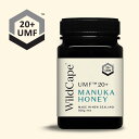 マヌカハニー<超高活性>UMF【20+】500g★完全無農薬100%ピュア★ニュージーランド『Wild Cape』非加熱 無添加はちみつ