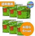 ◎送料無料◎ モロヘイヤヌードル 50g×4×6袋セット 麺のみ 低脂質 ノンフライ麺 ヘルシー インスタント ラーメン ベジ パスタにも ゆで時間3分