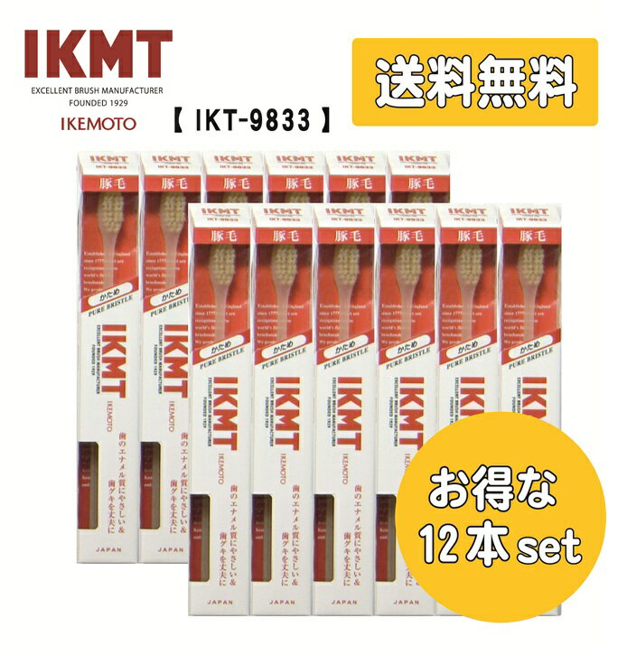 お得な12本セット 《 IKT9833 》IKMT 豚毛 歯ブラシ コンパクト かため ＜ 送料無料 ＞ 天然毛 獣毛 歯科 オーラルケア 旧KNT