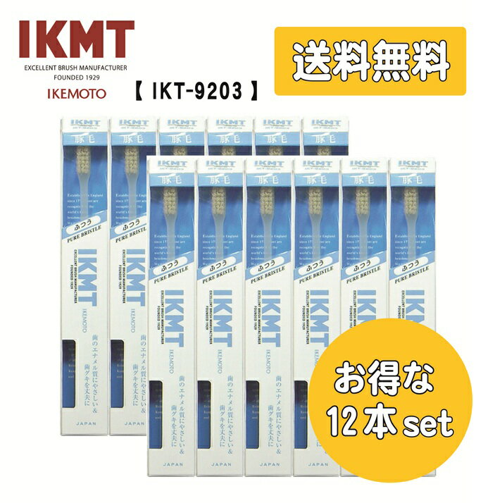 お得な12本セット 《 IKT9203 》 IKMT 豚毛 歯ブラシ 超コンパクト ふつう ＜ 送料無料 ＞ 天然毛 獣毛 歯科 オーラルケア 旧KNT
