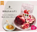 たかくら新産業 百年はちみつグミ ざくろ味 49g(14粒) ギルトフリー ビタミン ポリフェノール