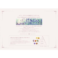 POLAデタイユ・ラ・メゾンシャンプー10L業務用