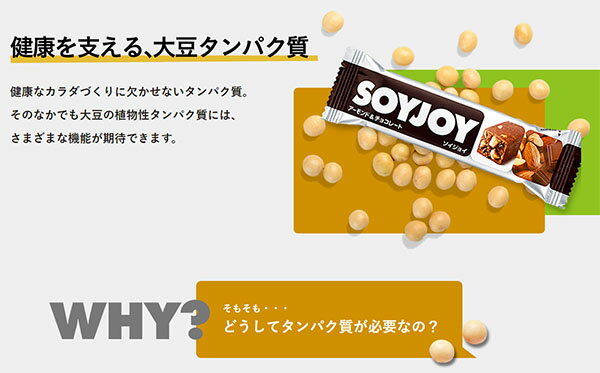 大塚製薬　SOYJOY（ソイジョイ）3種のレーズン　30g×12本（1本あたり89円　税別）