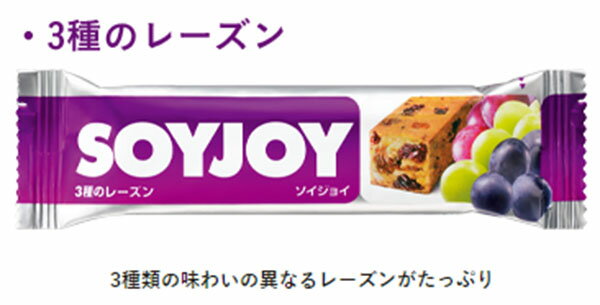 大塚製薬　SOYJOY（ソイジョイ）3種のレーズン　30g×12本