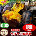 安納芋 送料無料 有機栽培 Sサイズ 5kg 金の蜜いも 種子島・屋久島産 サツマイモ 100g未満のちびっこサイズ