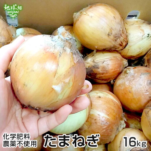 新たまねぎ 16kg 化学肥料・農薬不使用 鹿児島県産 宮崎県産 熊本県産 タマネギ 玉葱 新玉ねぎ オニオン サラダ 生 常温便 onion 発送期間3月〜6月 新たまねぎ 16kg 化学肥料・農薬不使用 鹿児島県産 宮崎県産 熊本県産 タマネギ 玉葱 新玉ねぎ オニオン サラダ 生 常温便 onion 発送期間3月〜6月