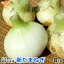 ޤͤ 8kg Ի 縩 ܸ ޥͥ Ǭ ̤ͤ ˥   ﲹ onion ȯ36