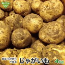 じゃがいも 4kg 化学肥料・農薬不使用 鹿児島県産 宮崎県産 熊本県産 ジャガイモ 馬鈴薯 ポテト ニシユタカ デジマ 無農薬