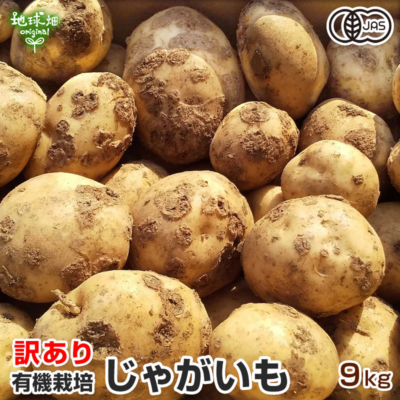 訳あり 新じゃがいも 9kg 有機栽培 鹿児島県産 宮崎県産 B品 化学肥料・農薬不使用 ジャガイモ 馬鈴薯 国産 自宅用 大きさおまかせ ふぞろい 春じゃがいも 新ジャガイモ 業務用