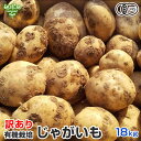 訳あり じゃがいも 18kg 有機栽培 鹿児島県産 宮崎県産 B品 化学肥料・農薬不使用 ジャガイモ 馬鈴薯 国産 自宅用 大きさおまかせ ふぞろい 業務用