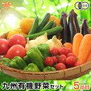 有機野菜セット おまかせ5品目 九州産 鹿児島県 有機栽培 有機JAS 冷蔵便 オーガニック 無農薬 西日本 お試し 詰め合わせ 送料無料