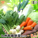 有機野菜セット おまかせ5品目 九州産 鹿児島県 有機栽培 有機JAS 冷蔵便 オーガニック 無農薬 西日本 お試し 詰め合わせ 送料無料