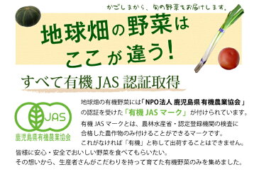 有機野菜セット おまかせ7品目 九州産 鹿児島県 有機栽培 有機JAS 冷蔵便 オーガニック 無農薬 西日本 詰め合わせ 送料無料 母の日