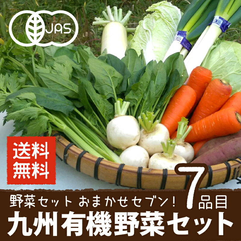 有機野菜セット おまかせ7品目 九州産 鹿児島県 有機栽培 有機JAS 冷蔵便 オーガニック 無農薬 西日本