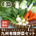 野菜セット 有機野菜おまかせセブン 九州野菜 鹿児島県 有機栽培 JAS認証 送料無料 7品目 ヘルシー テイスティ