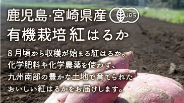 さつま芋 訳あり 紅はるか 10kg 有機栽培 鹿児島県産 宮崎県産 規格外 大きさおまかせ organic オーガニック