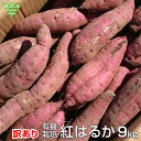 (訳あり) 紅はるか 9kg 有機栽培 鹿児島県産 宮崎県産 訳アリ 規格外 B品 土付き さつまいも サツマイモ べにはるか 国産 オーガニック JAS 2025年産 令和7年産