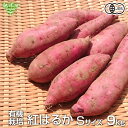 紅はるか S 9kg 有機栽培 鹿児島県産 宮崎県産 土付き さつまいも 薩摩芋 サツマイモ からいも べにはるか 国産 離乳食 100g未満のちびっこサイズ 2025年産 令和7年度産