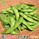 有機枝豆 20kg 鹿児島県産 生 有機JAS 枝豆 えだまめ 枝まめ エダマメ 無農薬 化学肥料・農薬不使用 有機栽培 冷蔵便 発送期間6月下旬~7月 10月下旬